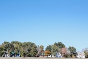 Dill Farms